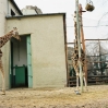 01budapest zoo.jpg